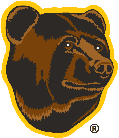 Boston Bruins 1995-2007 Alternate Logo fabric transfer